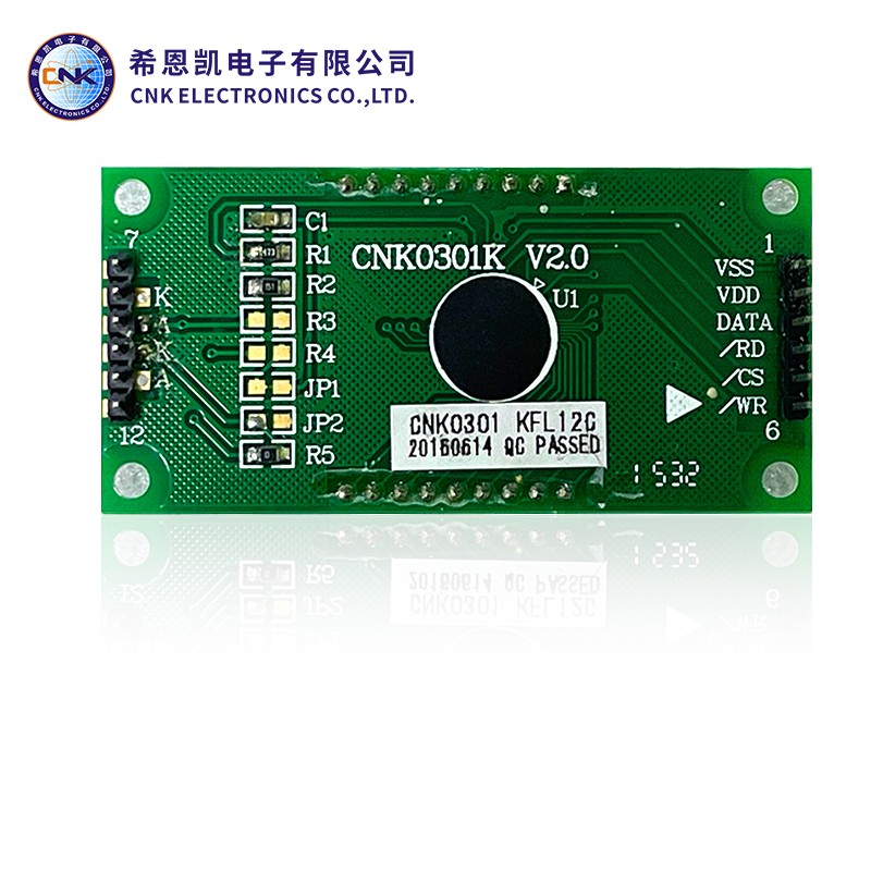 Uri ng FSTN Segment LCD Display