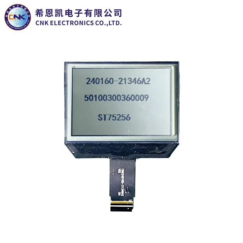 Graphic monochrome LCD display