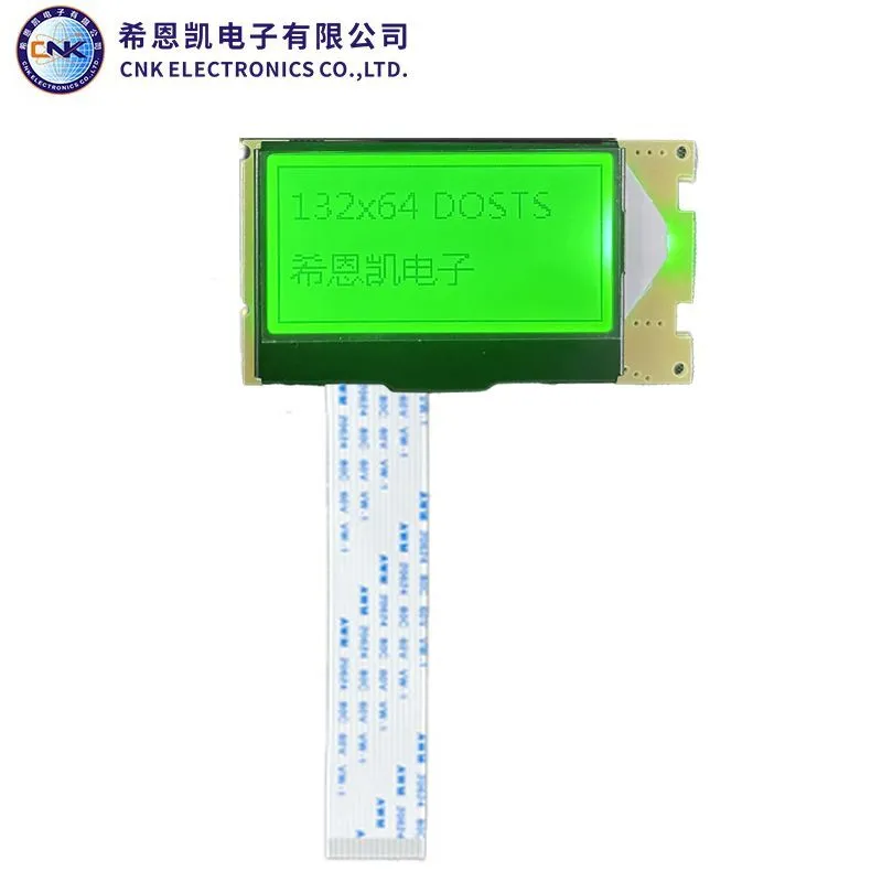 LCD dot matrix module